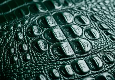 Imagen PNG para descargar